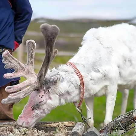 Scandic Nordkapp Отель Хоннингсвог