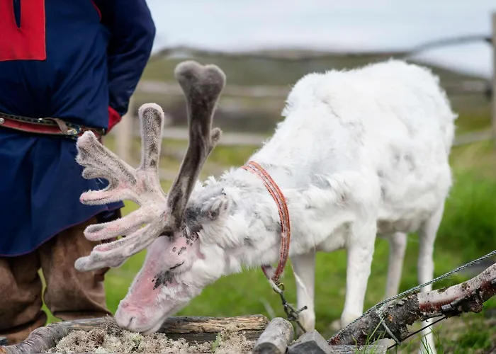Scandic Nordkapp Honningsvåg