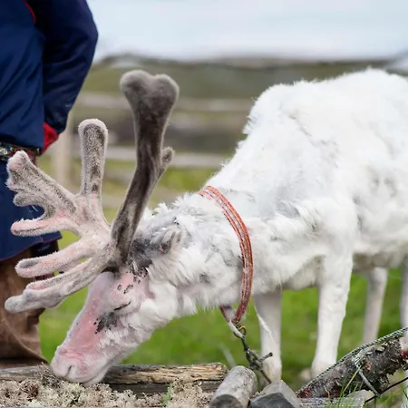 Scandic Nordkapp Honningsvåg